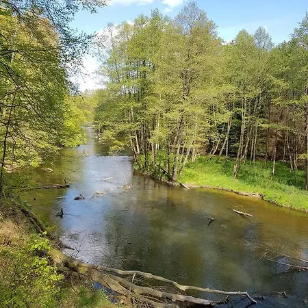 Caly Nad Jeziorem * Drawno