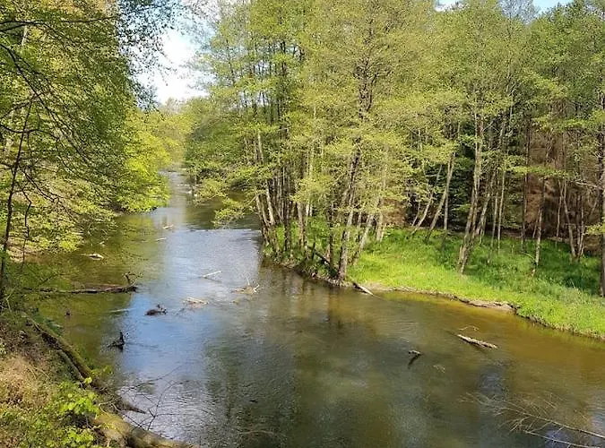 Caly Nad Jeziorem * Drawno